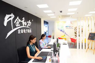 青年視角 互聯(lián)網(wǎng)時代下的商務(wù)信息咨詢